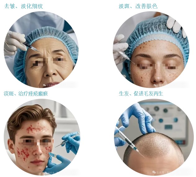 Snipaste_2024-11-25_16-42-31.jpg Snipaste_2024-11-25_16-42-31.jpg